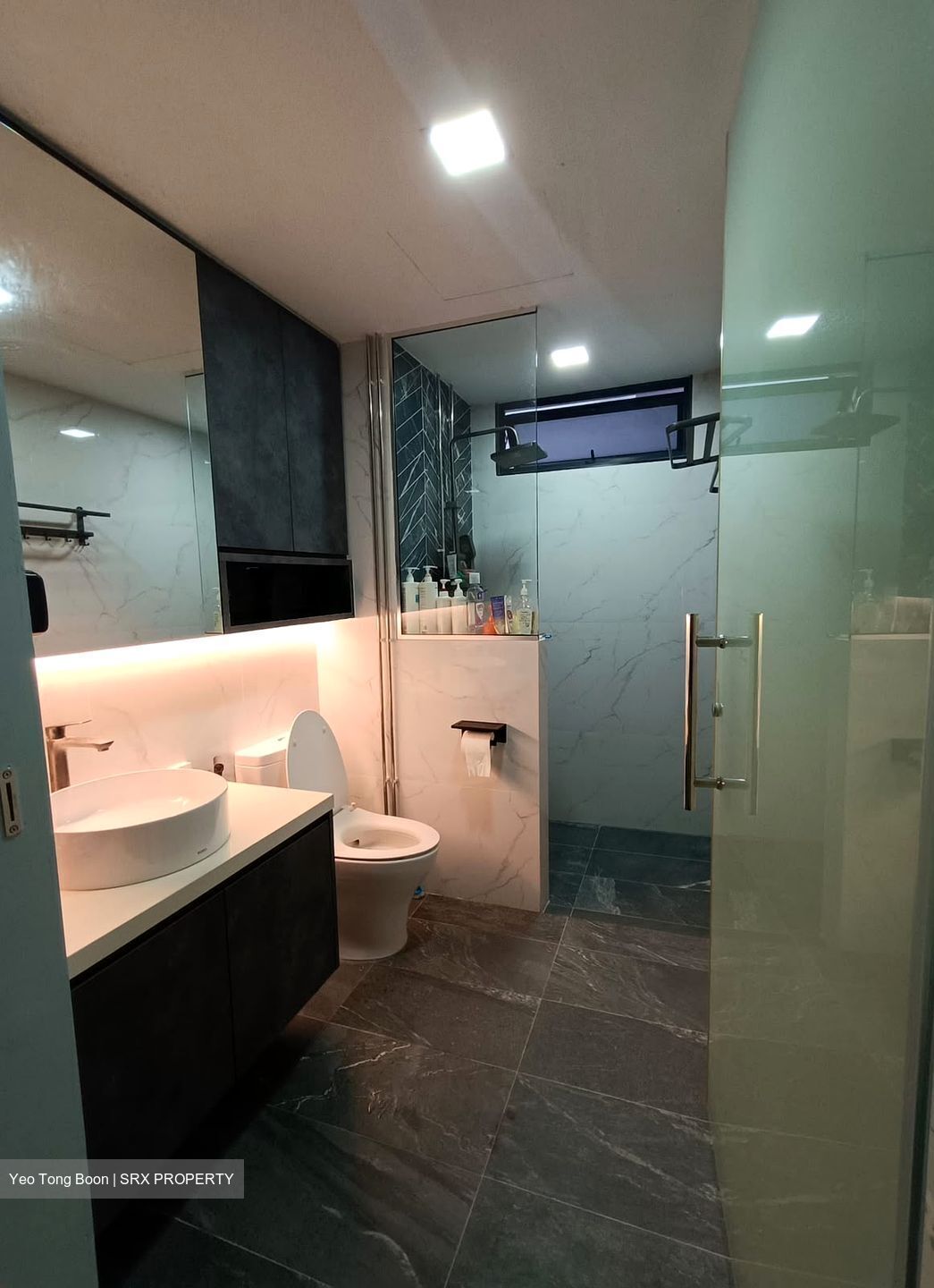 Waterbay (D19), Condominium #637346881